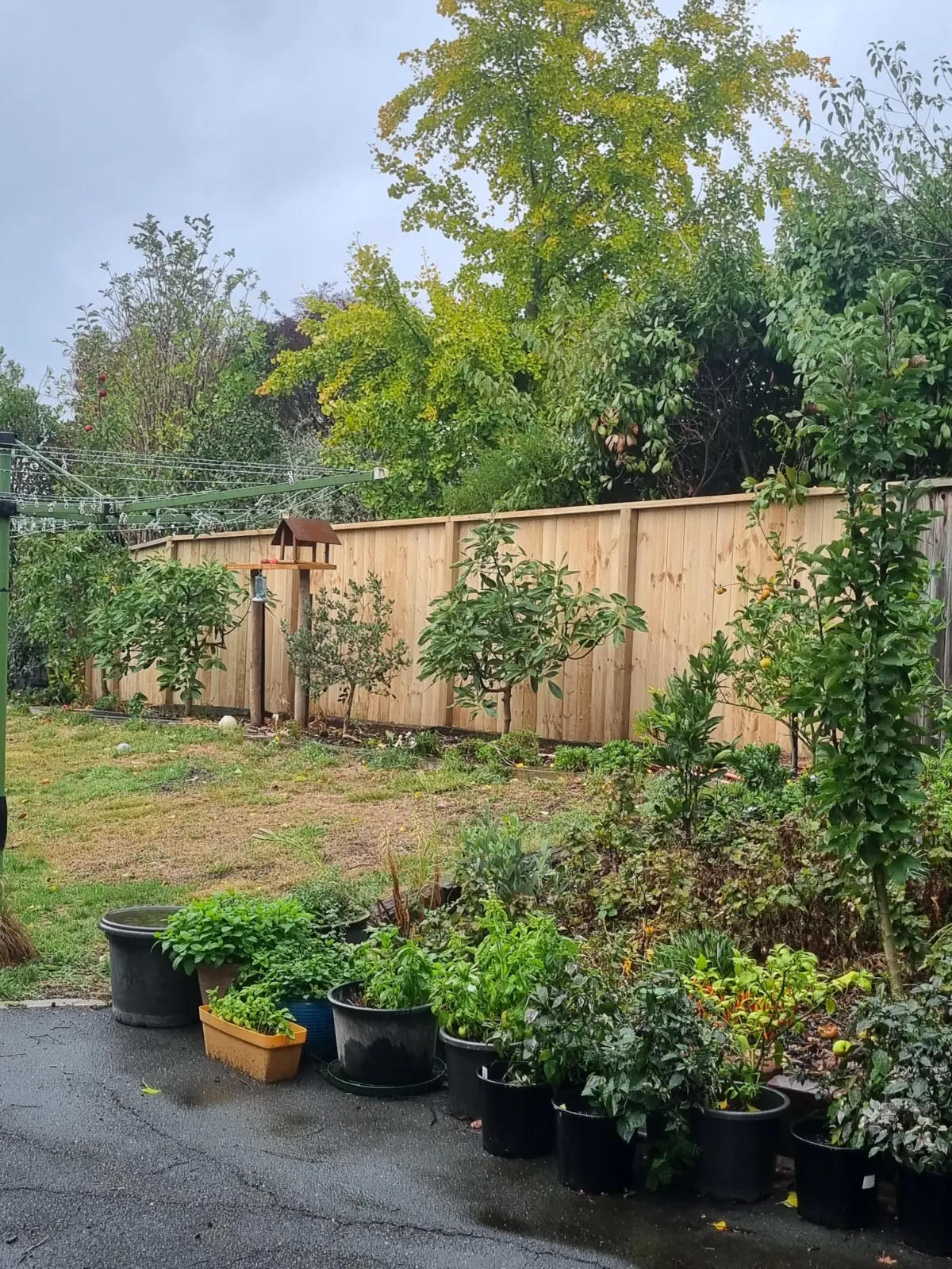 Exposed Post Board Fence